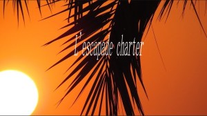 fireworks in the sky