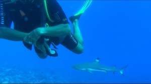 a person swimming in water