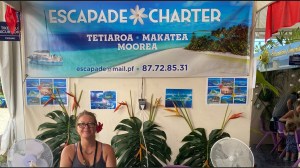 graphical user interface, website